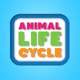 Animal Life Cycle
