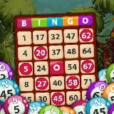 Bingo King