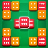 Dice Puzzle