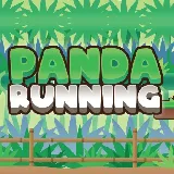 Panda Running