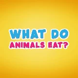 What do animals eat